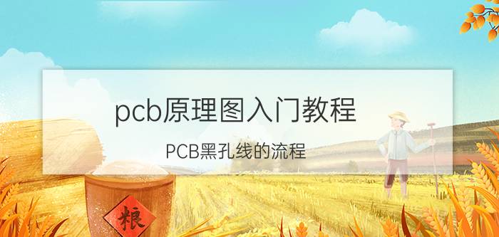 pcb原理图入门教程 PCB黑孔线的流程，以及原理是怎么样的？